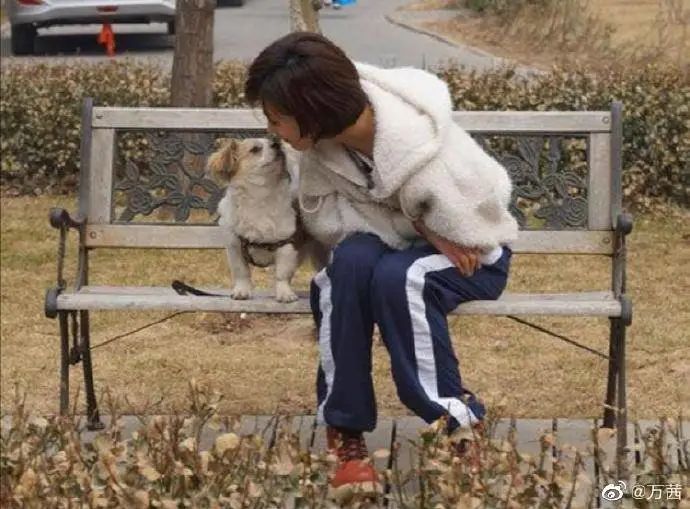 万茜：为什么半个娱乐圈都为她应援？