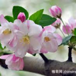 19个练习黑客技术的在线网站 爱芯问答网