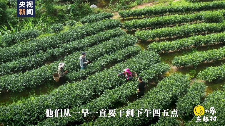 【相对论·大象来我村】从“防象小学”走出去，闯一闯世界丨Vol.101