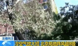 北京遭强风袭击4人身亡 航班经历惊魂一刻
