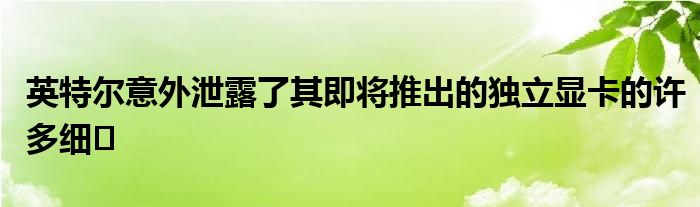 英特尔意外泄露了其即将推出的独立显卡的许多
