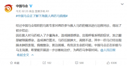 “救命恩马”第三匹也开始生病！救人者讲述：
