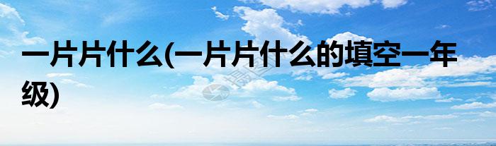 一片片什么(一片片什么的填空一年级)