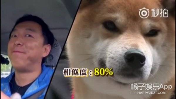 《极限挑战》停播，这些瞬间再也看不到