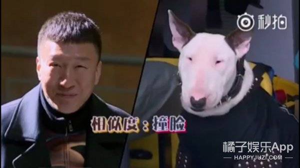 《极限挑战》停播，这些瞬间再也看不到