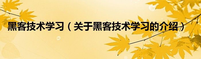 黑客技术学习（关于黑客技术学习的介绍）