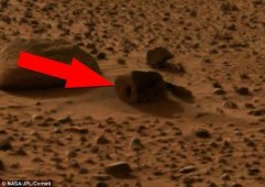 UFO猎人宣称发现火星外星人住所屋门 高仅15厘米