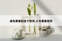 成为黑客的五个软件,十大黑客软件