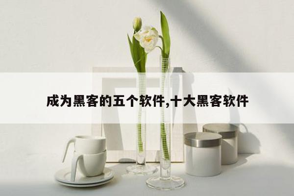 成为黑客的五个软件,十大黑客软件