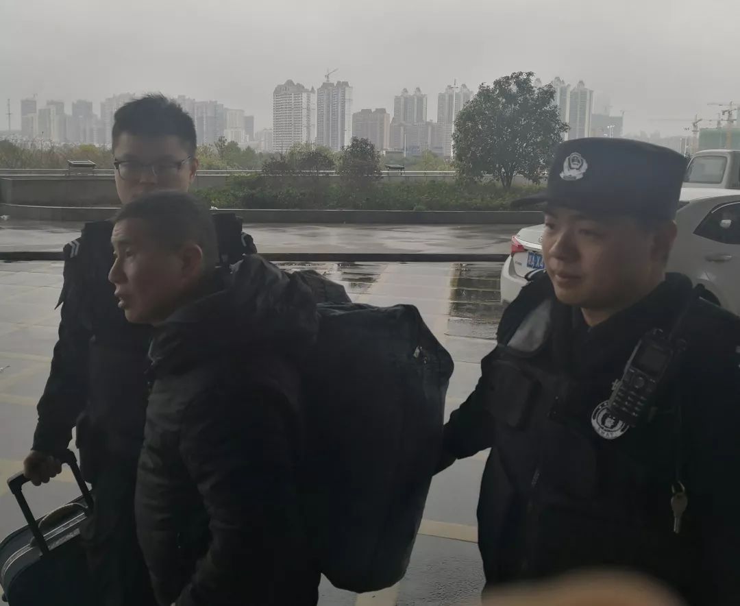 真牛!特巡警支队快警平台1天抓获犯罪嫌疑人