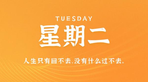 11月8日新闻早讯，每天60秒读懂世界