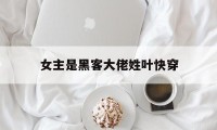 女主是黑客大佬姓叶快穿（快穿文中姓叶的女主）